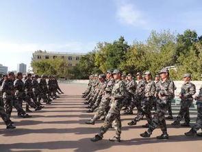 军训最新爆料文案,最新爆料揭秘训练场上的热血瞬间 第1张 军训最新爆料文案,最新爆料揭秘训练场上的热血瞬间 第1张